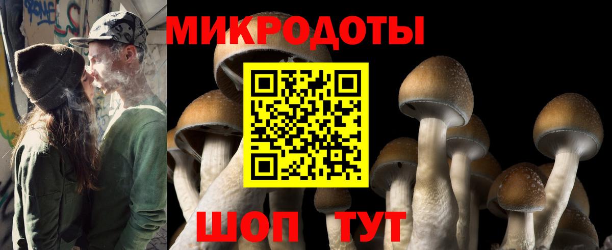 Галлюциногенные грибы MAGIC MUSHROOMS  Вход с VPN  Новошахтинск 